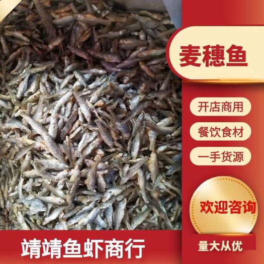 长沙鱼嫰子 小鱼干  麦穗小鱼干  嫰子鱼