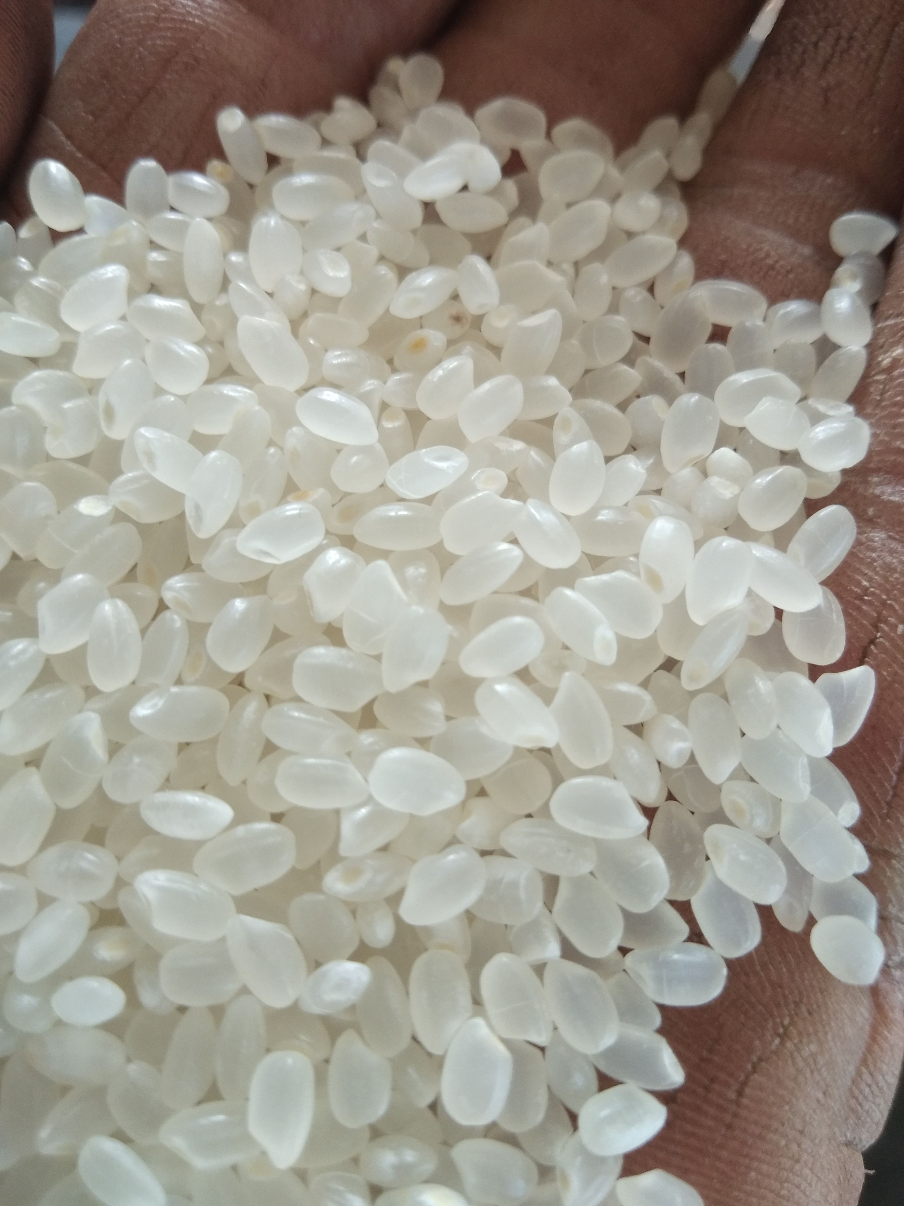 稻谷，东北松花江畔的江水大米，全市场你吃不到的好大米，