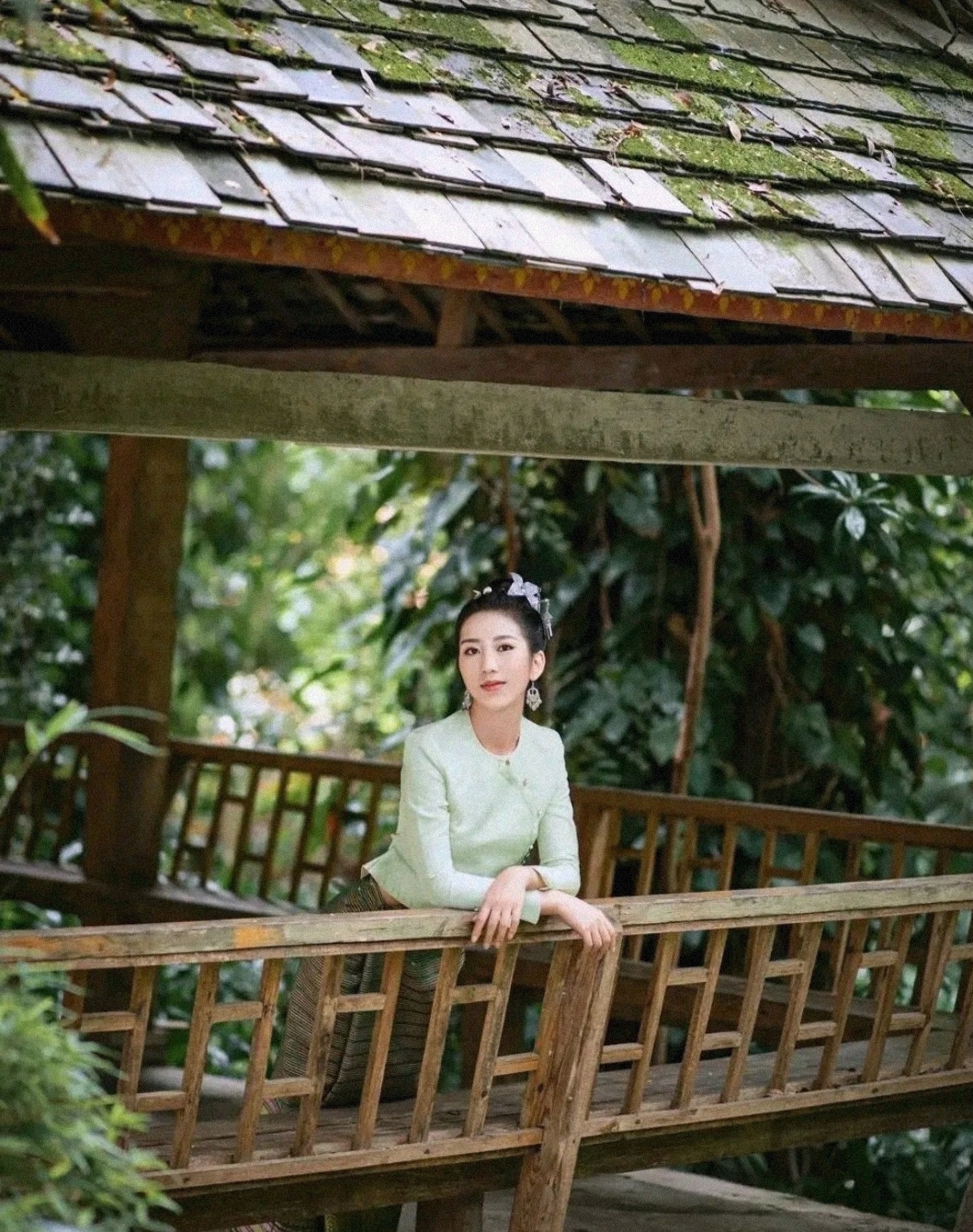 云南彩云山珍