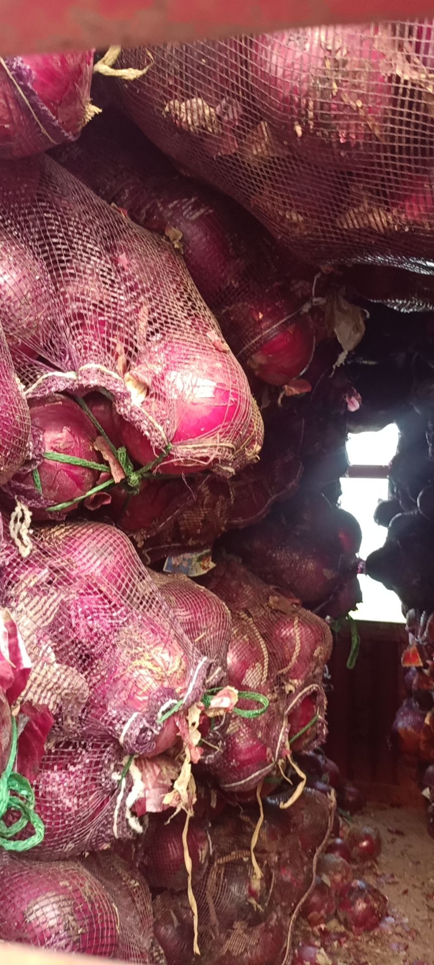 红美洋葱，个头大，质量好，因冷库到期着急处理，价格实惠！