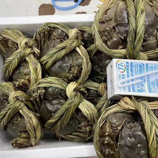 泗洪县泗洪大闸蟹