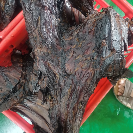 漯河腊前排