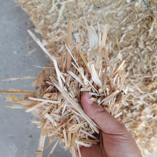 呼和浩特玉米秸秆柔丝草，保过夏，没有土，没有膜，大白包，精品包装