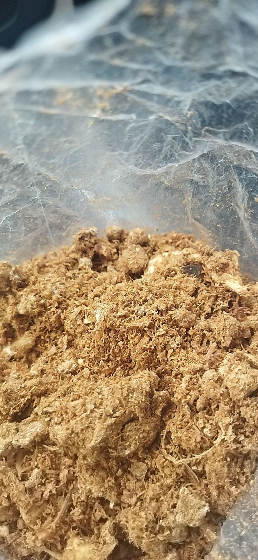 纯猪粪有机肥，干温分离高温消杀