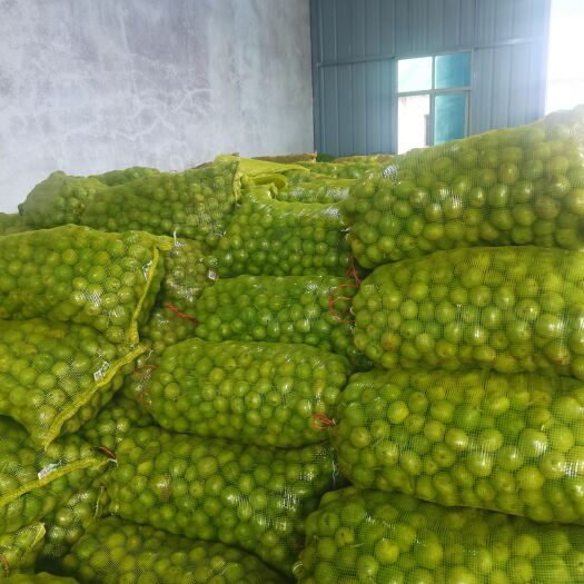 合阳县青皮核桃