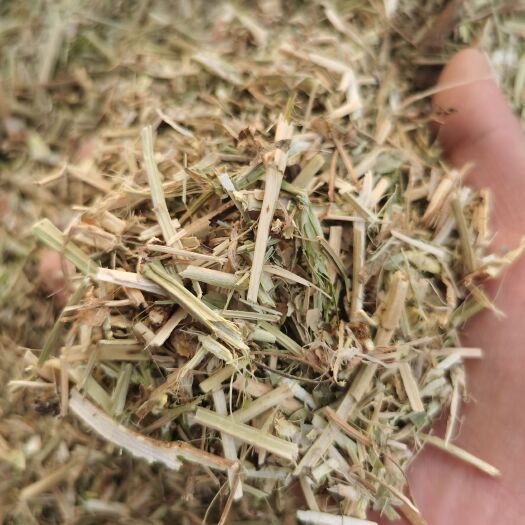 西华县花生秧草段 今年新草料 花生秸秆牛羊马兔饲料 花生草