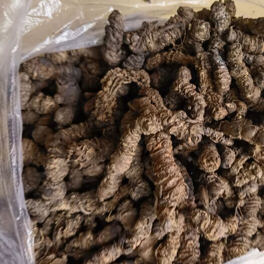 六盘水药材蜘蛛