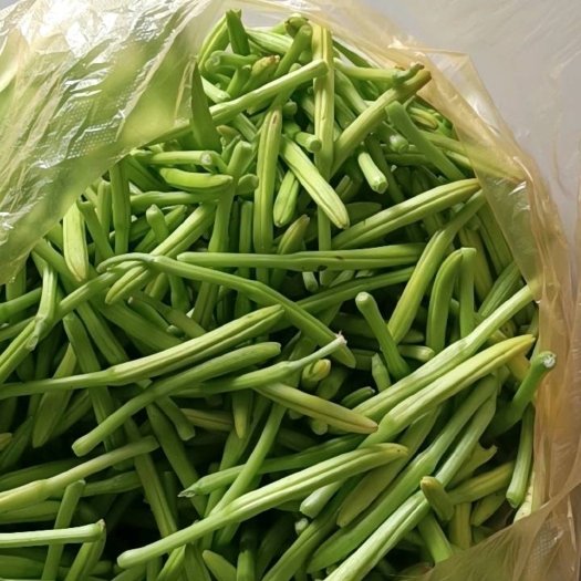 商丘鲜黄花菜