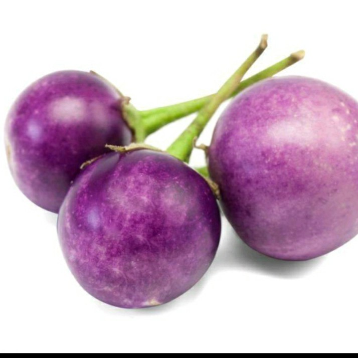 [茄子批发]泰国蔬菜紫色茄子圆茄咖喱茄子价格12元/斤 