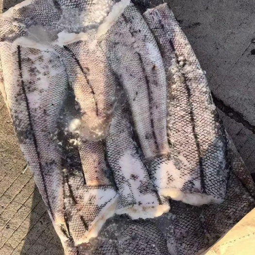 珲春市水鳕鱼 一手货源 产地直销 欢迎咨询