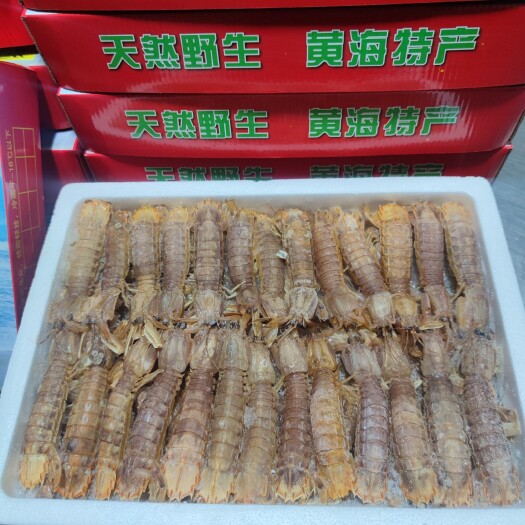 连云港优选 大公 小公 皮皮虾 濑尿虾 虾爬子
（4斤礼盒装）