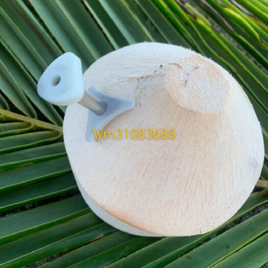 文昌市开椰器，能解决百分之90的海南椰青难开困扰！直接工厂加工…海