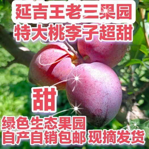 延吉市桃形李