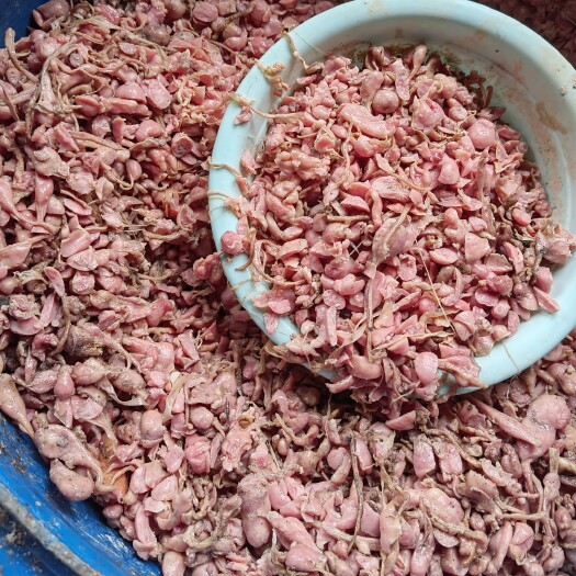 眉山下脚料，熟香肠碎肉