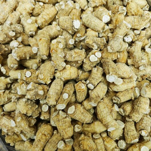 广州西洋参粒头3g/5g/7g/10g花旗参整枝软支批发一件代发