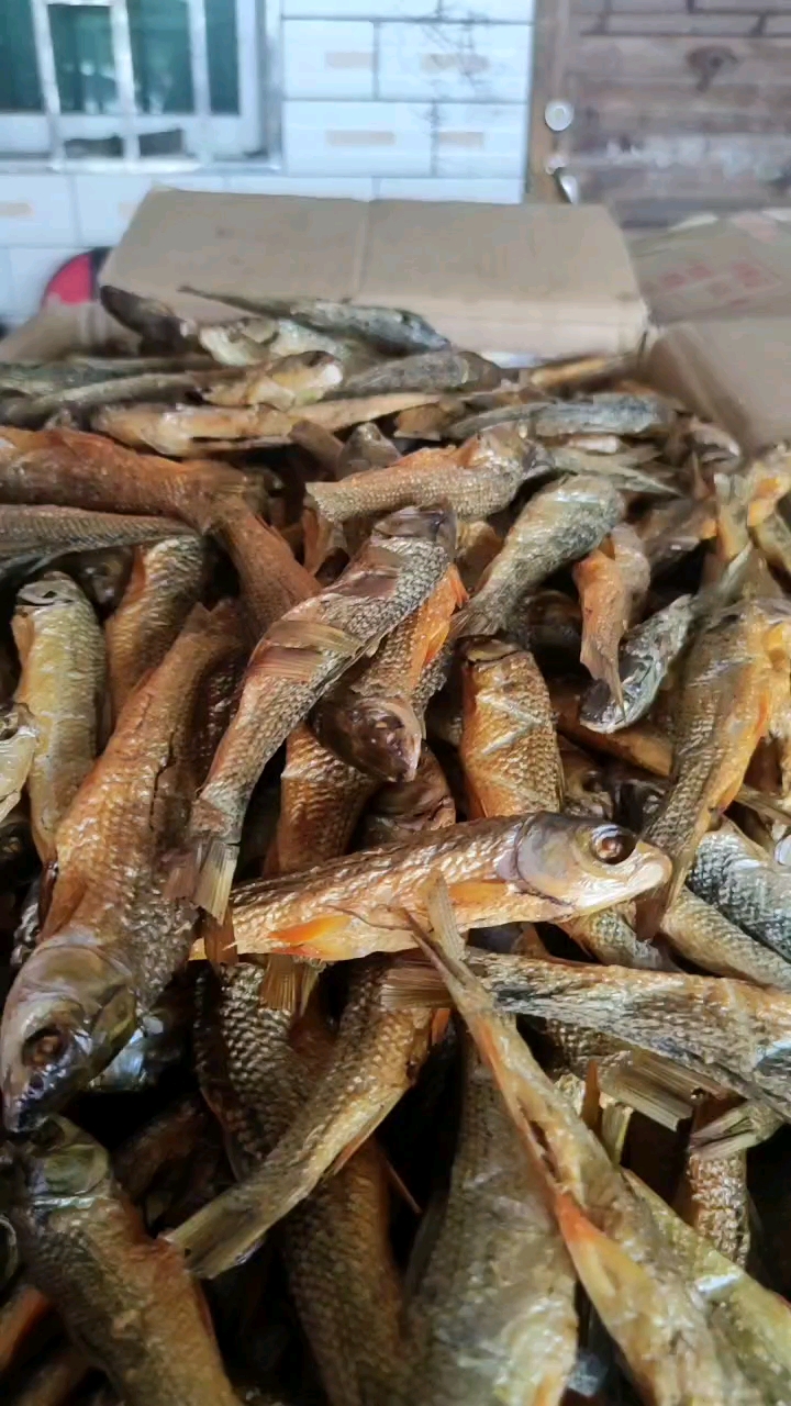 湖南儷碩火焙魚(yú)店
