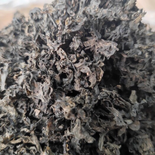 地皮菜（地达菜）（地软）（免洗）