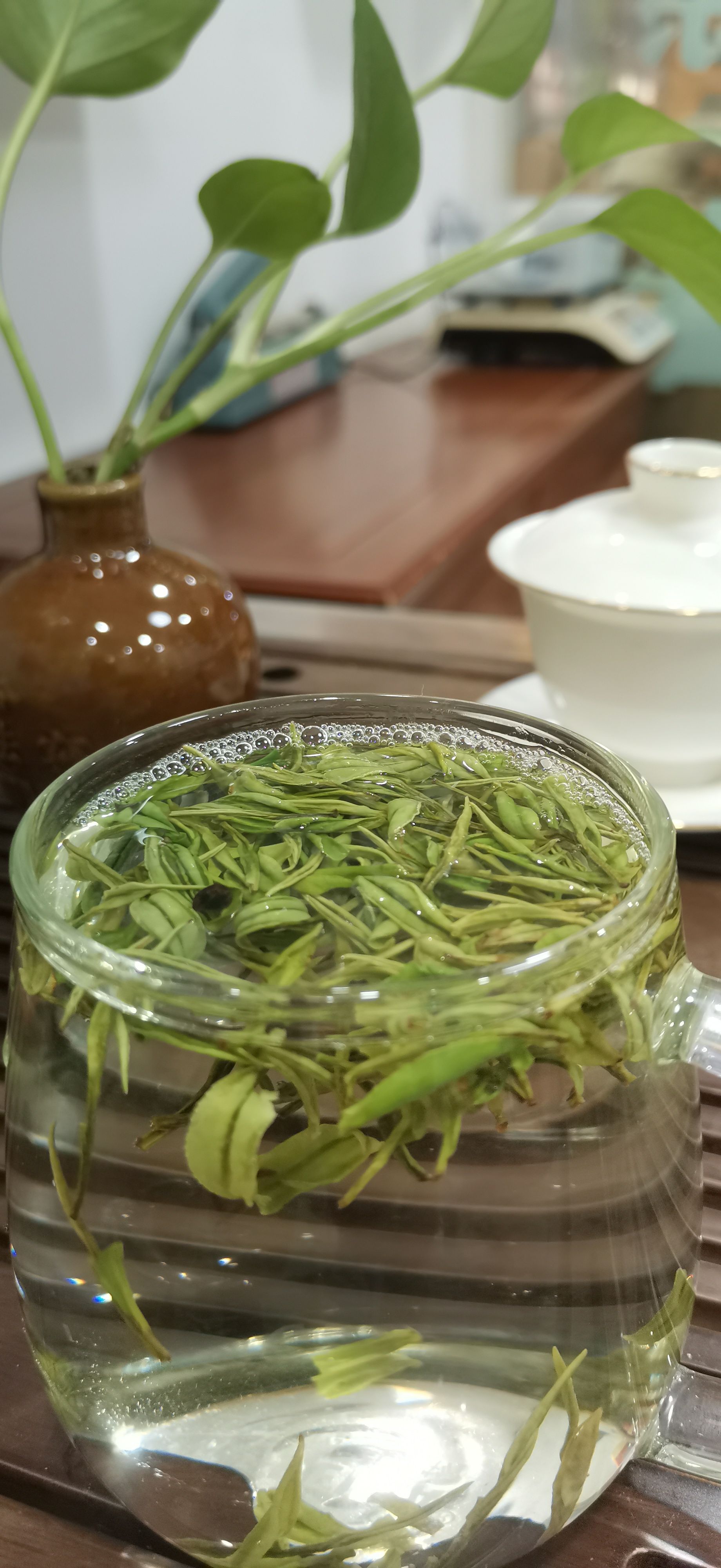 绿茶，安吉白茶