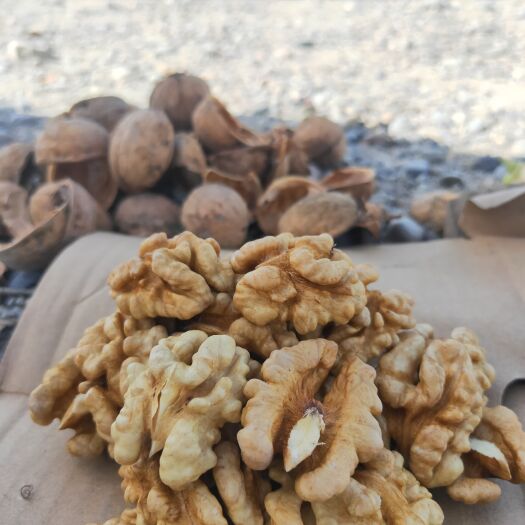 温宿县疆阿克苏185纸皮核桃