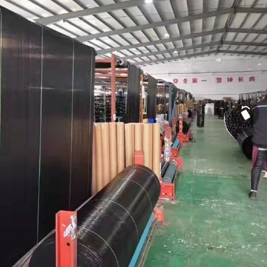 全新料聚乙烯（PE）防草布透气渗水耐磨耐晒抗老化