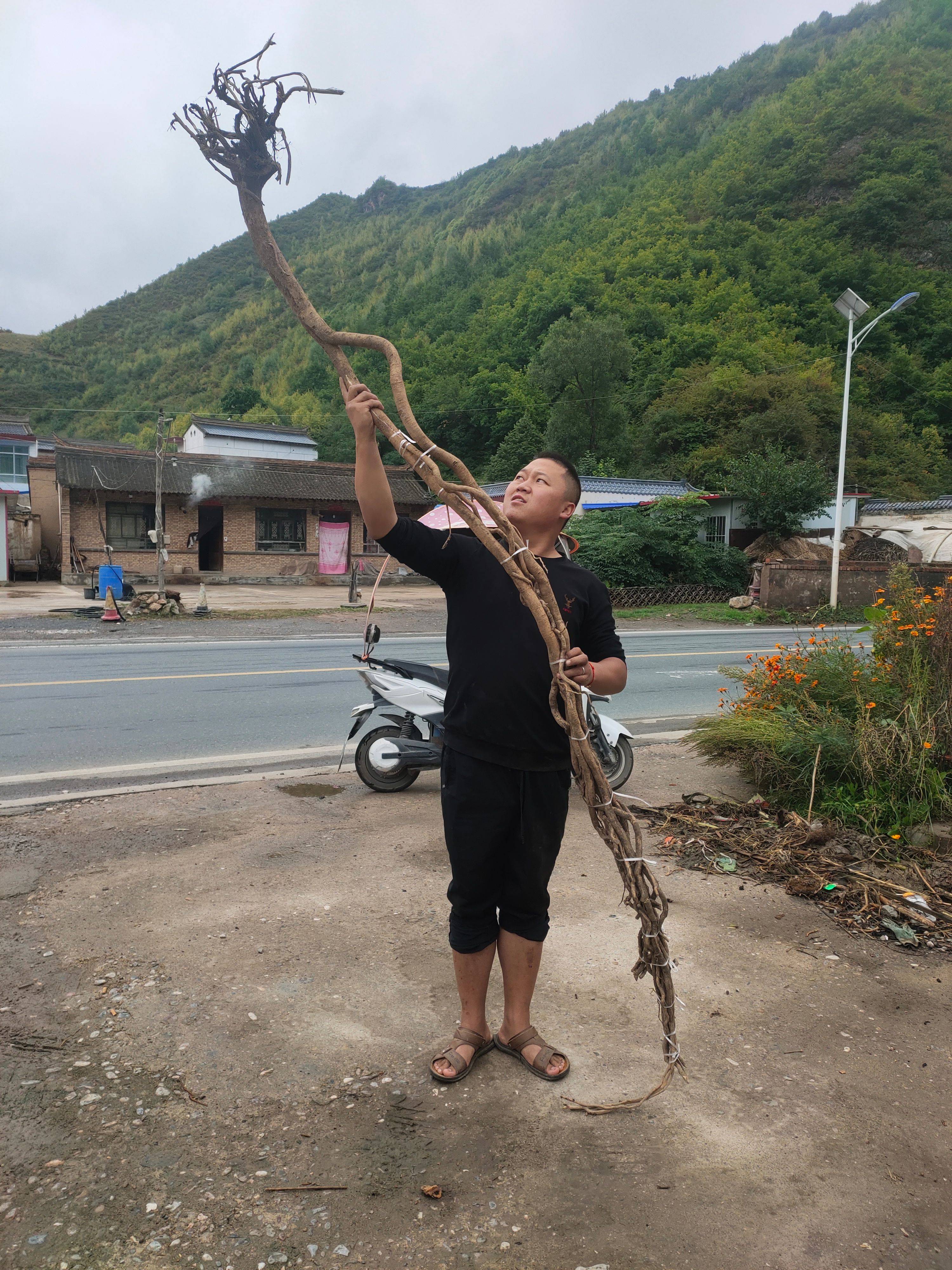 天賜聯(lián)民農(nóng)產(chǎn)品