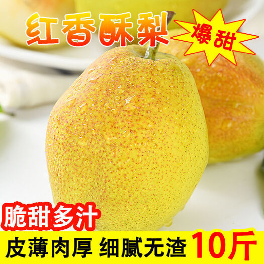 梨梨子皮薄超甜香梨批发10斤薄皮水果新鲜应季水果红香酥梨