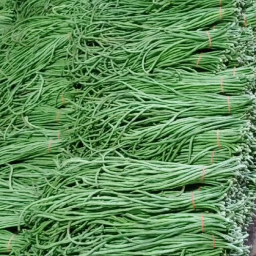 滑县豆角