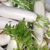 寻甸县白萝卜