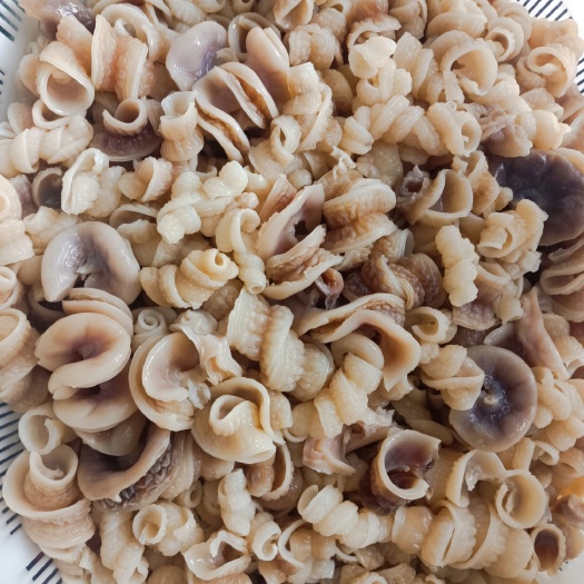 中牟县鱼肠鱼肚新产品