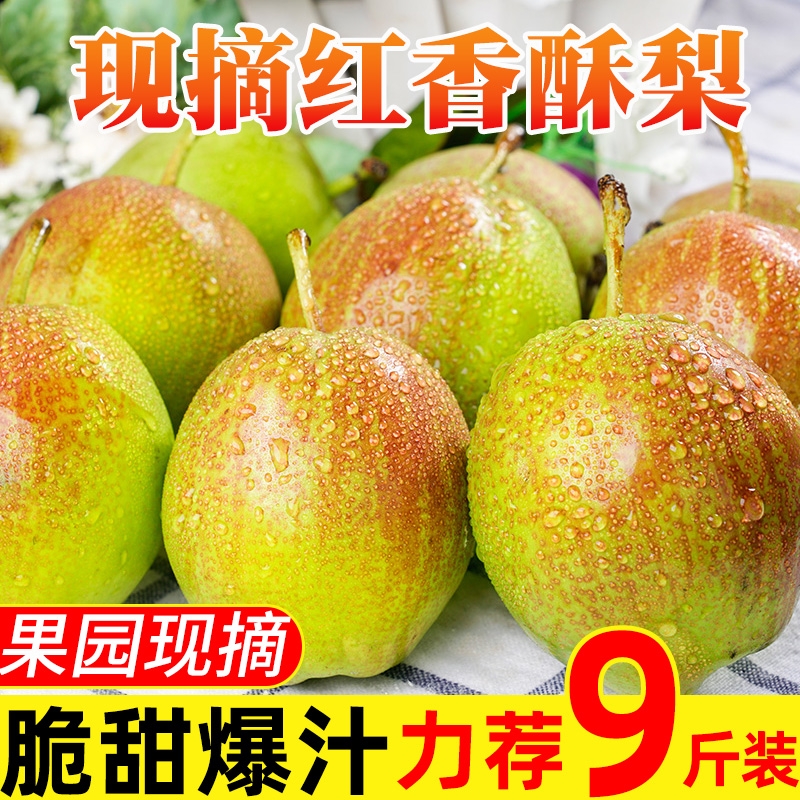 临猗县头茬红香酥梨10斤新鲜水果当季香梨一整箱酥梨应季特产梨子包邮