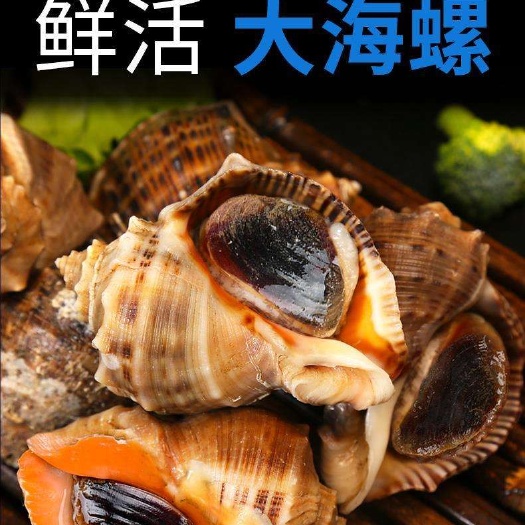 兴城市【年货节福利活动】【原产地低价直发】【壳薄肉厚】【肥美鲜嫩】