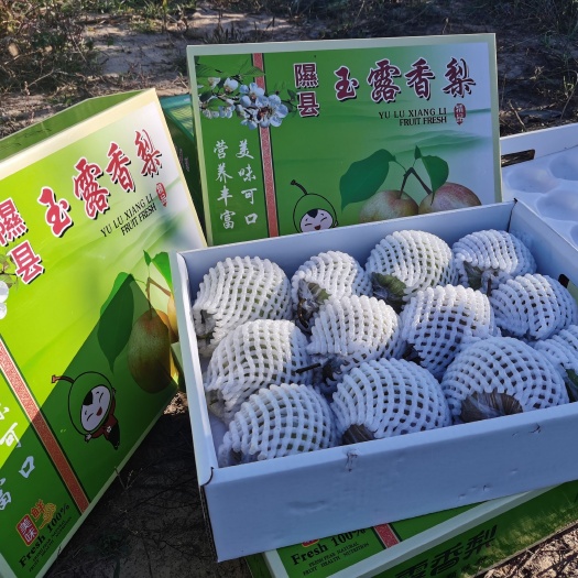 蒲县玉露香礼品箱上线啦！！！现摘现发现包装