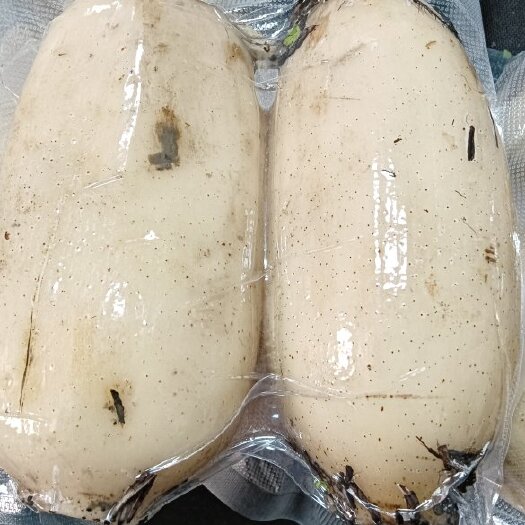 沭阳县真空包装莲藕35 6号 供应各大电商好货 欢迎致电 真诚合作