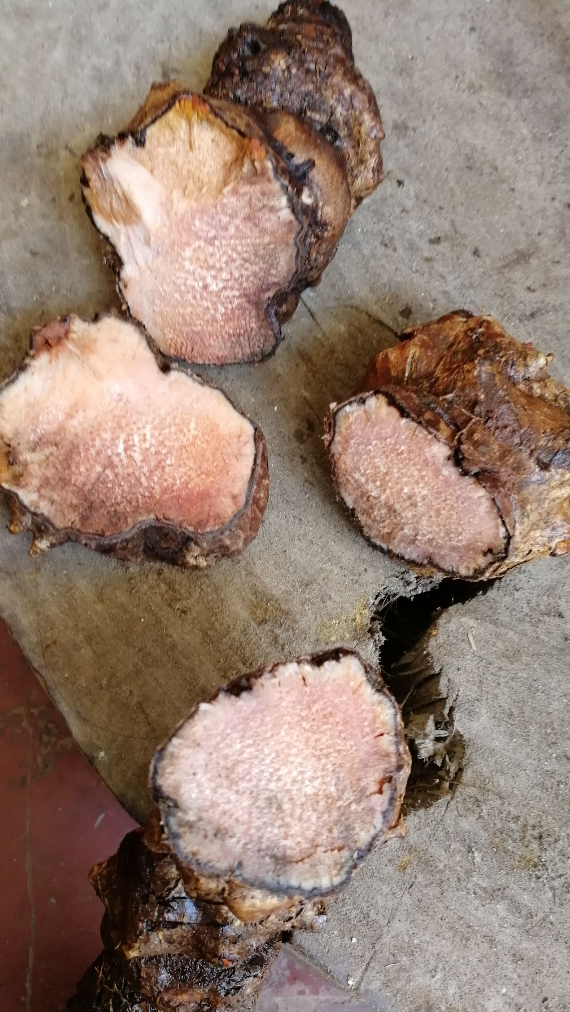 菝葜（金刚头、红茯苓），绿色药食同源产品，23年新制干片。