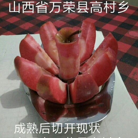 万荣县红色之爱苹果
