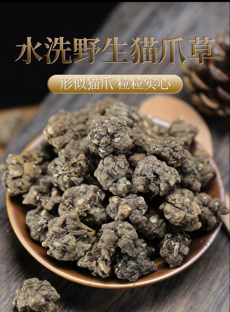 猫爪草 新货猫爪草 水洗猫爪草 不水洗猫爪草 大中小规格齐全