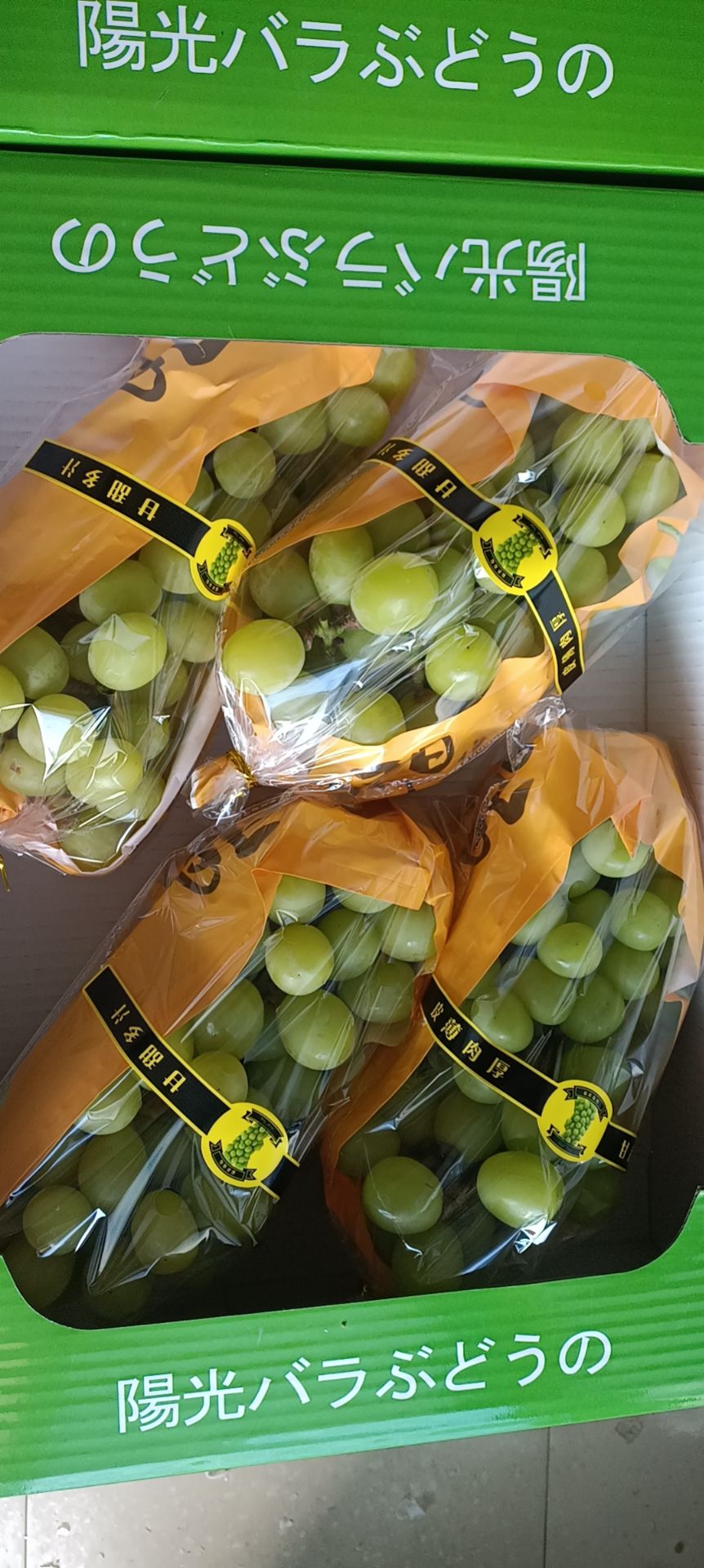 阳光玫瑰