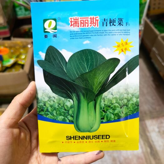 西安瑞丽斯青梗菜种子  上海青蔬菜种子 菜农专用露地大棚种子
