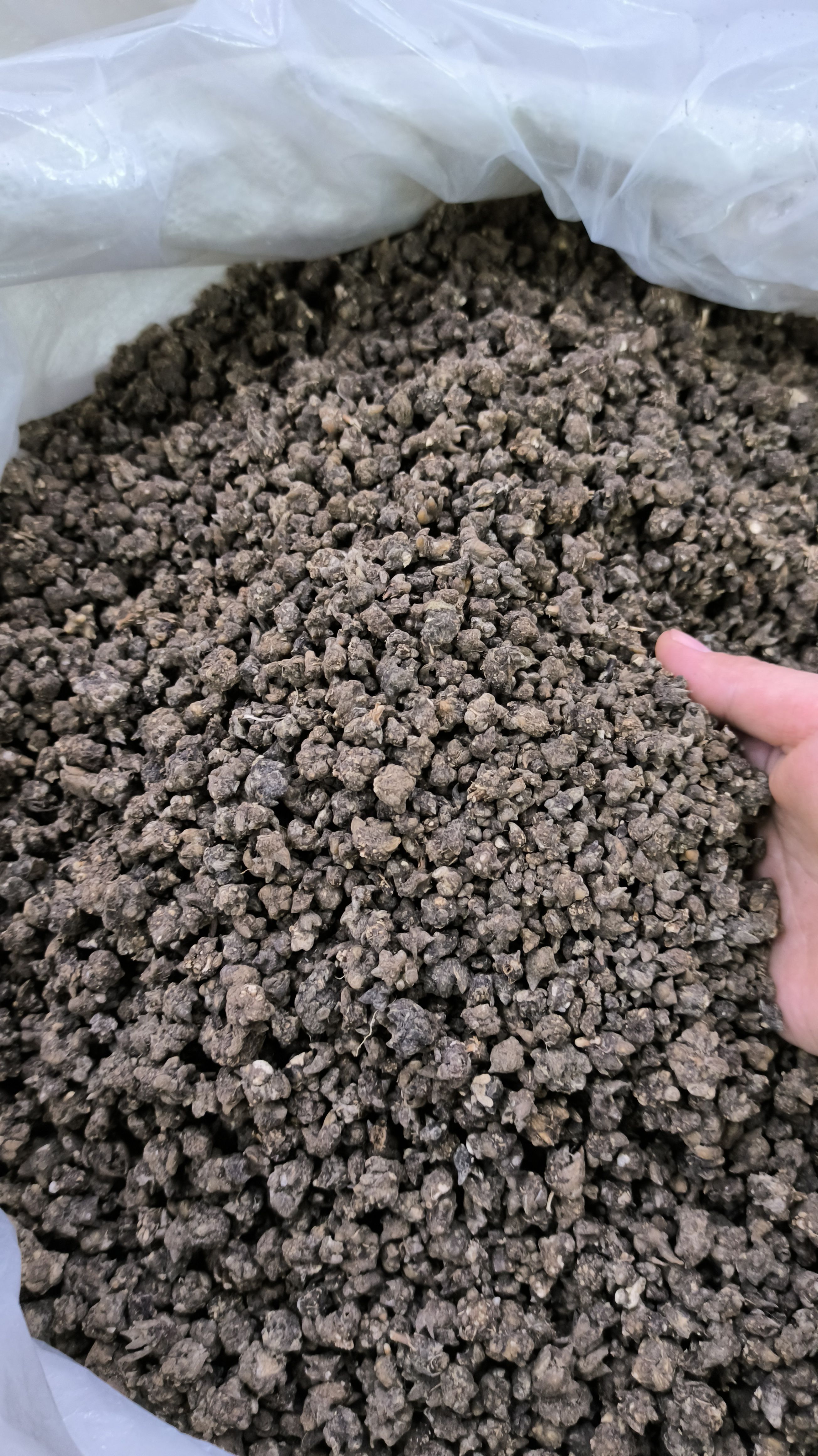 猫爪草 新货猫爪草 水洗猫爪草 不水洗猫爪草 大中小规格齐全