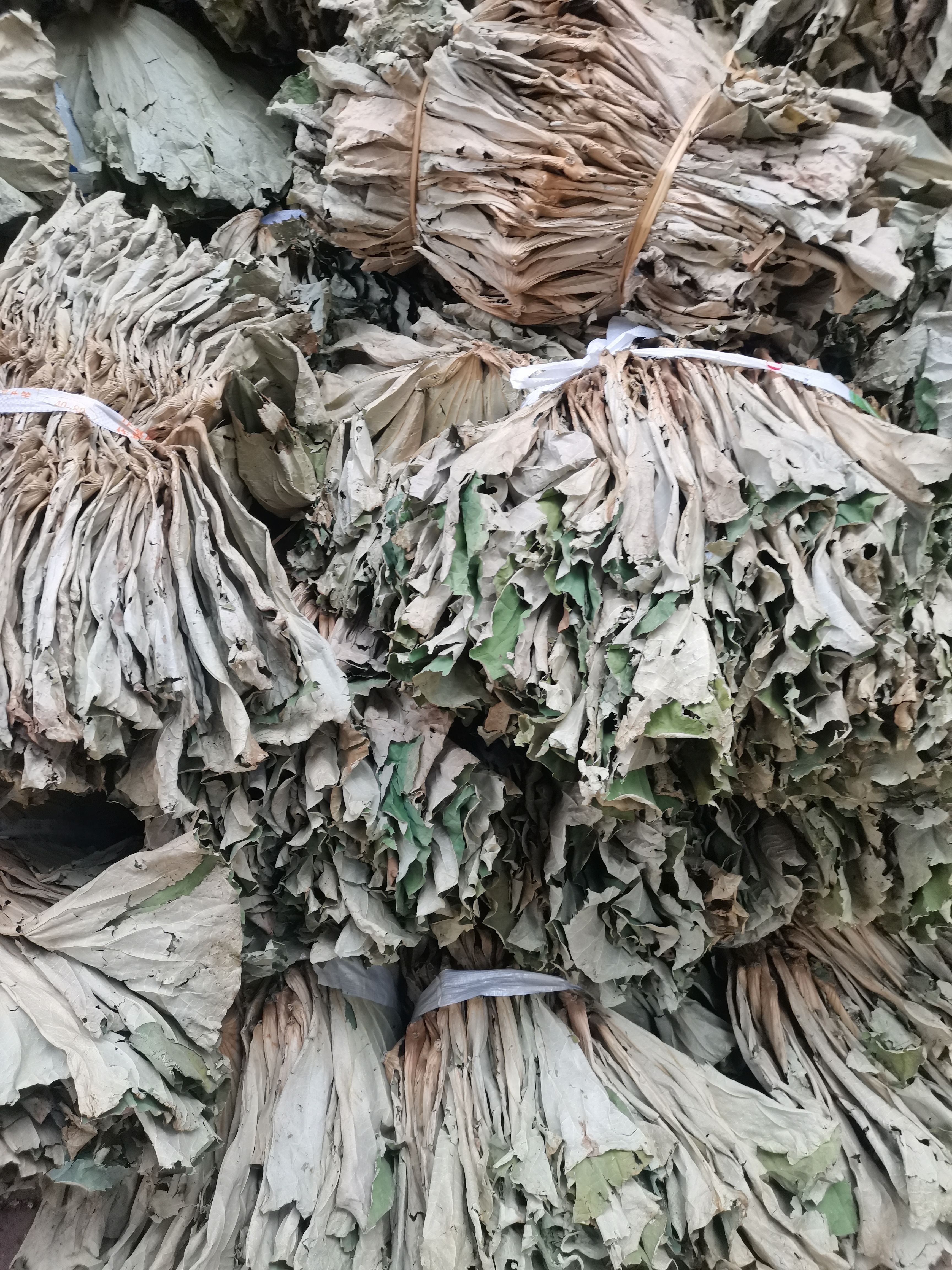 江西抚州南丰精选干荷叶