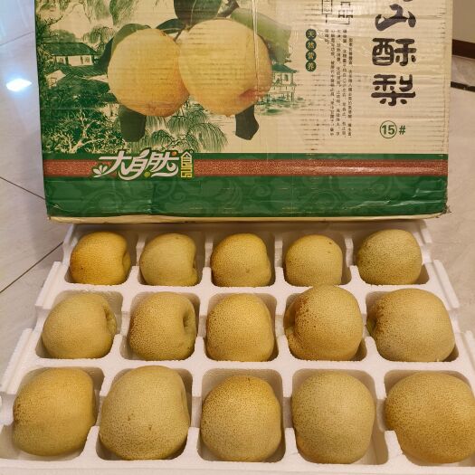 砀山县自家果园的砀山酥梨