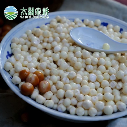 鲜芡实 鸡头米苏州特产