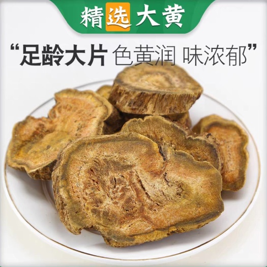 亳州大黄无硫片大黄润浓郁现有大货可打粉 马蹄黄 规格齐全