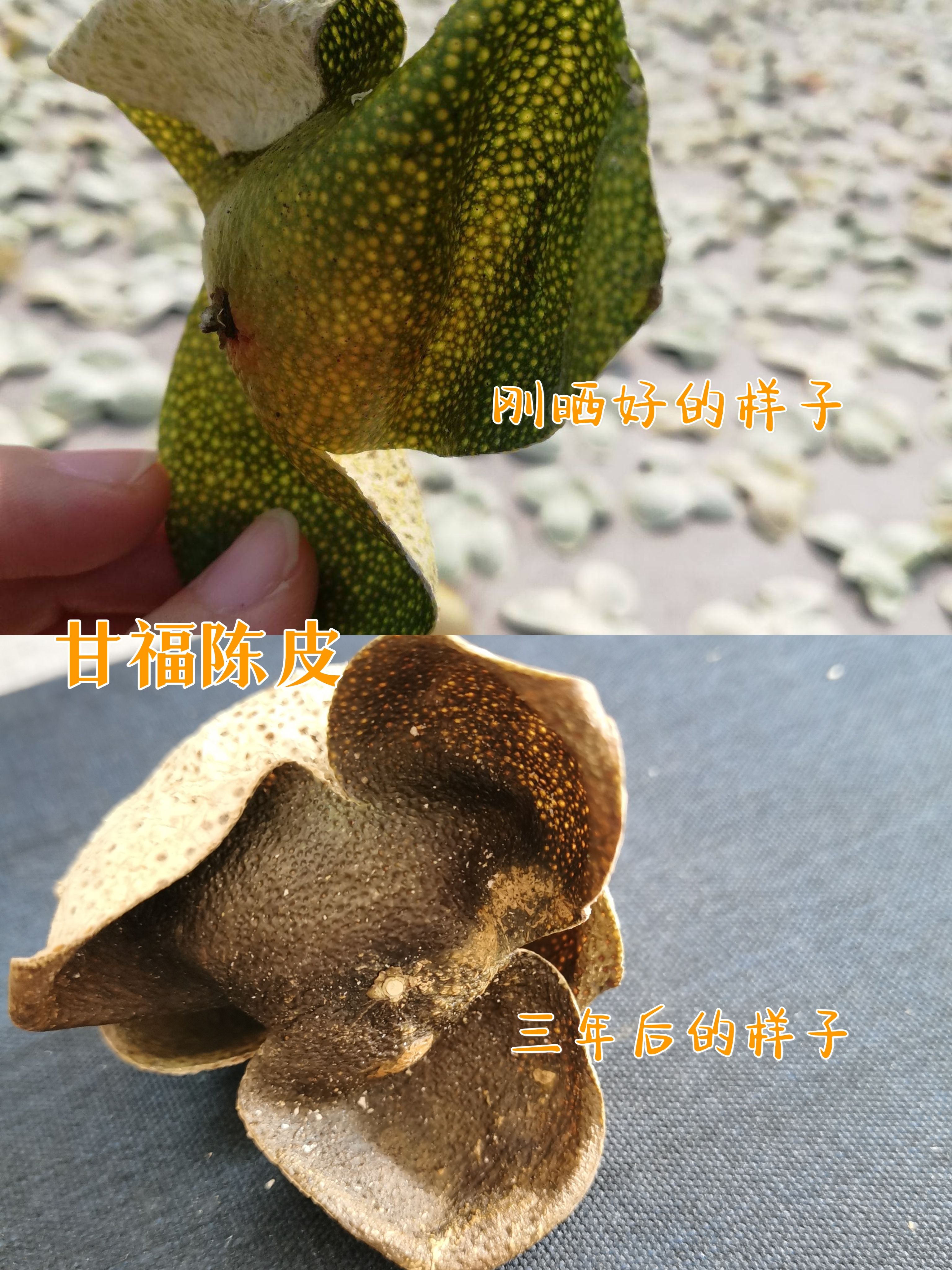 新会 三年陈陈皮青皮