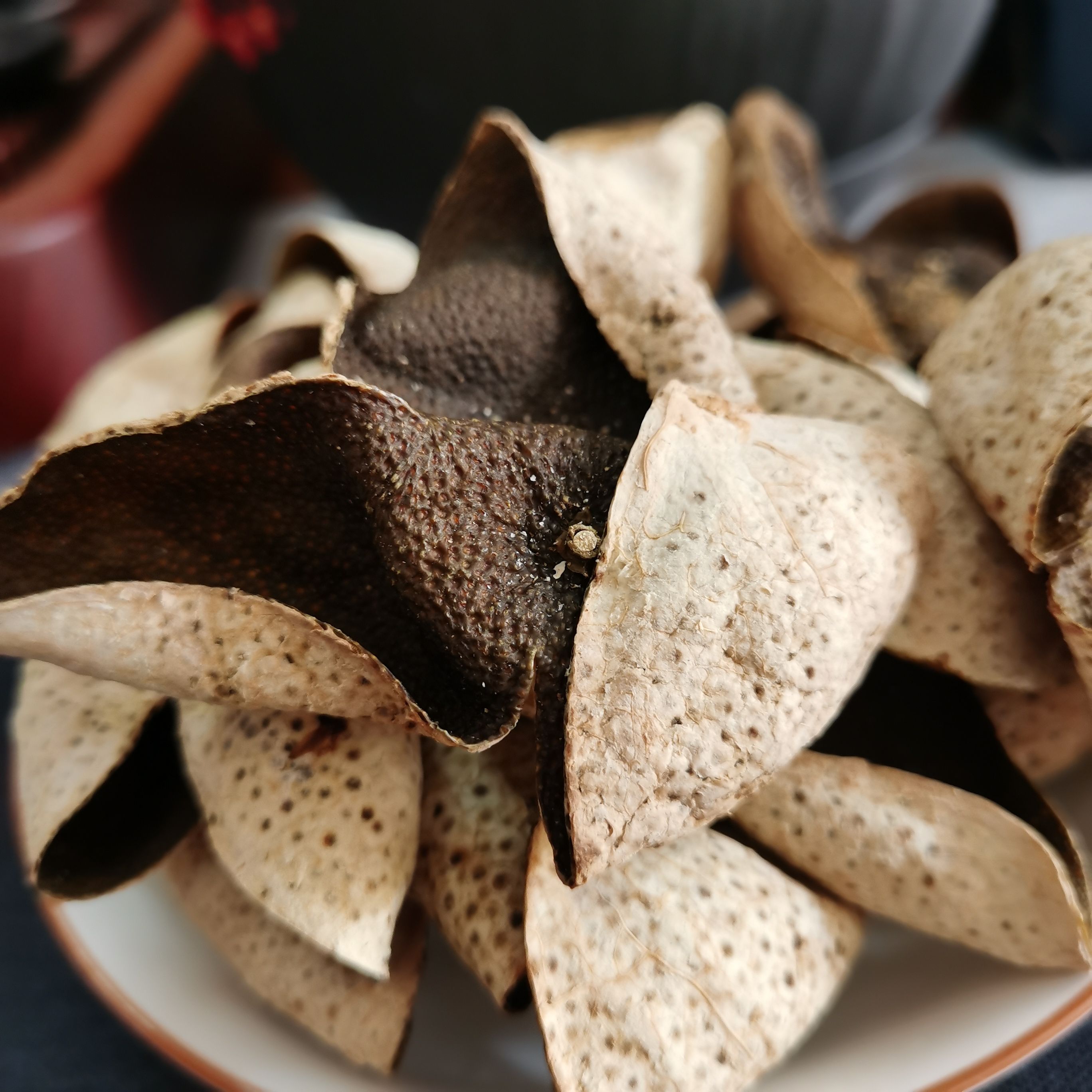 新会 三年陈陈皮青皮