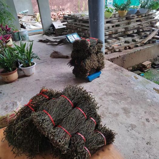 巍山县一级豇豆（干制品）