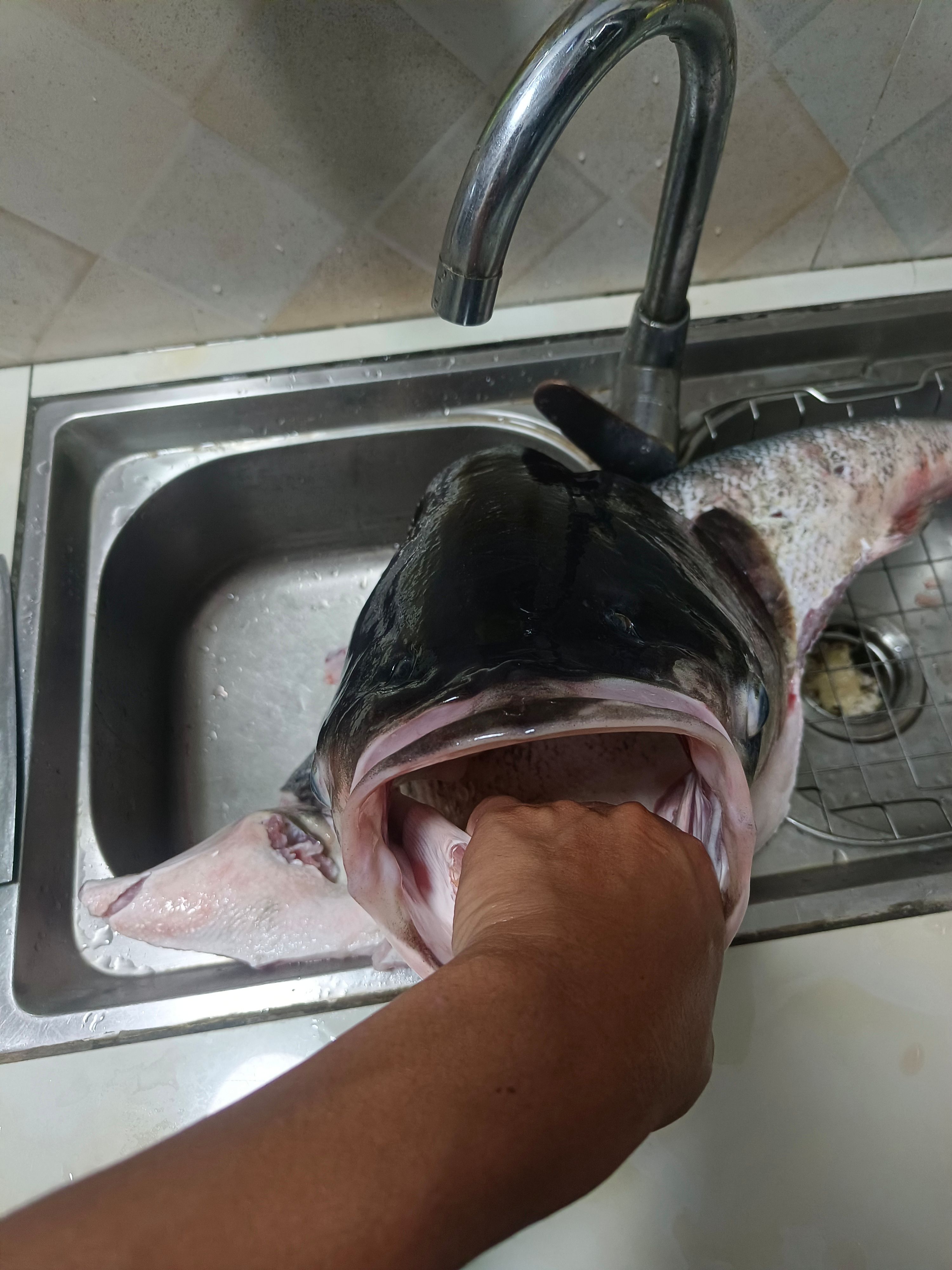 Դػͷ