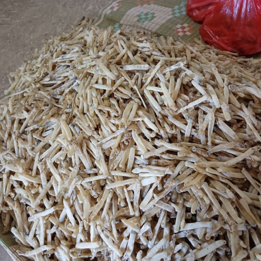 东兴市沙虫干无沙