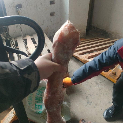 郑州长蹄子   切块长蹄