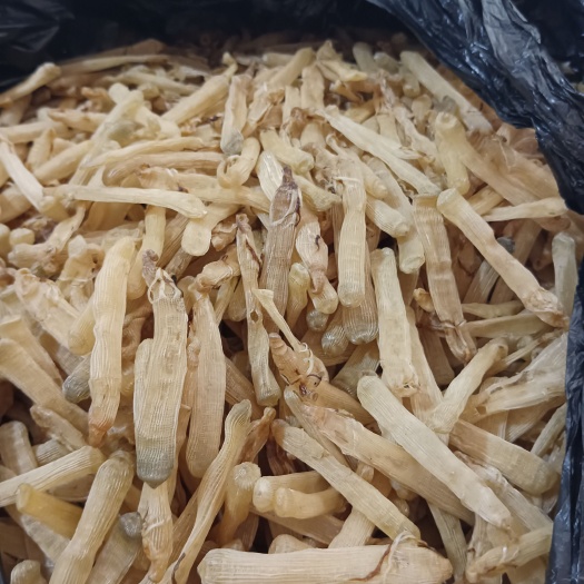 东兴市大沙虫干